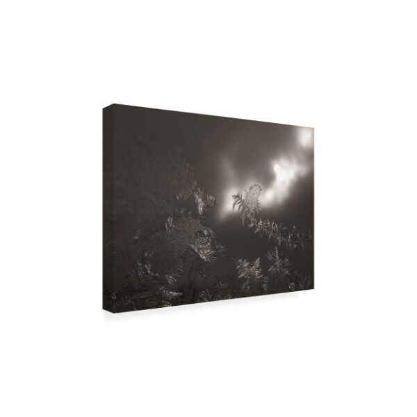 Kurt Shaffer Photographs 'Ice Crystals On My Window With Sun And Clouds' Canvas Art,24x32